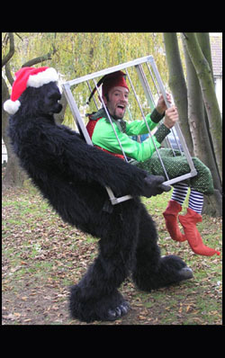 naughty gorilla and captive elf