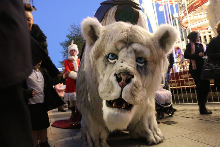 the snow lion walkabout